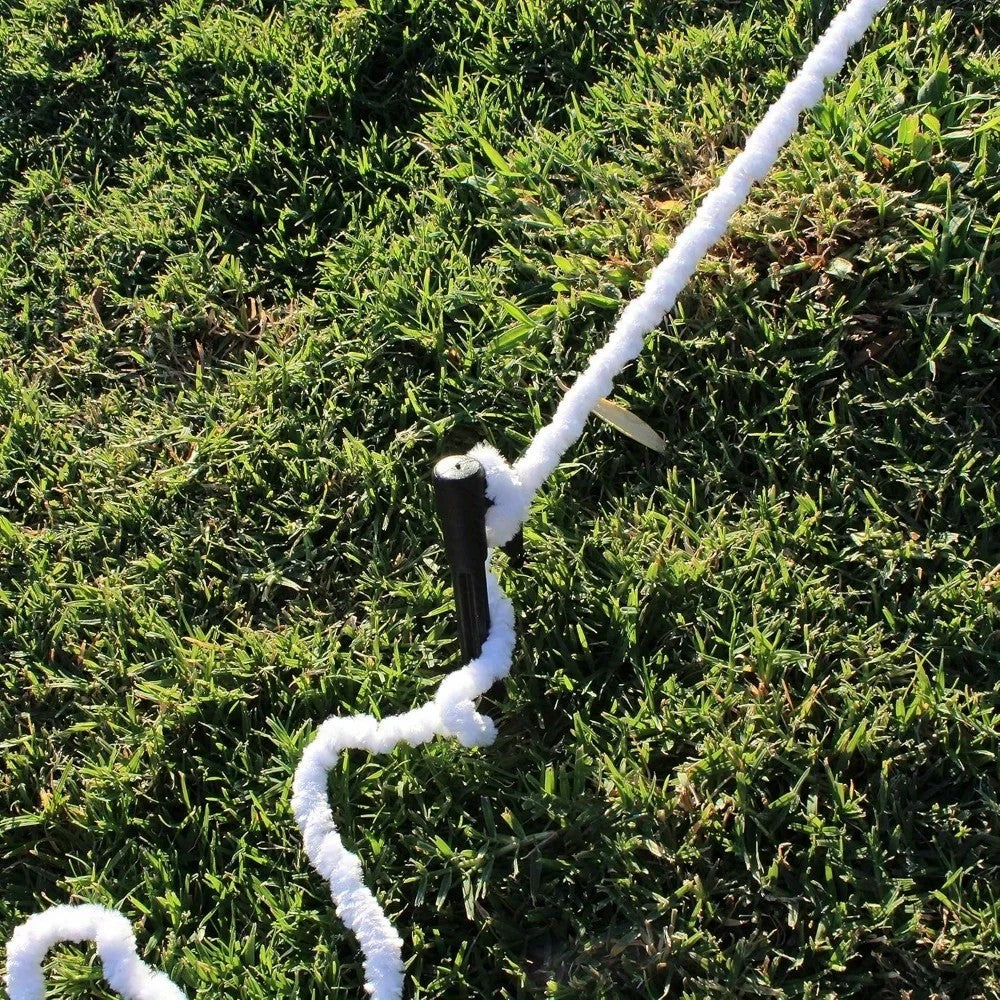 Giant 59-Inch Spider with Web - view 3