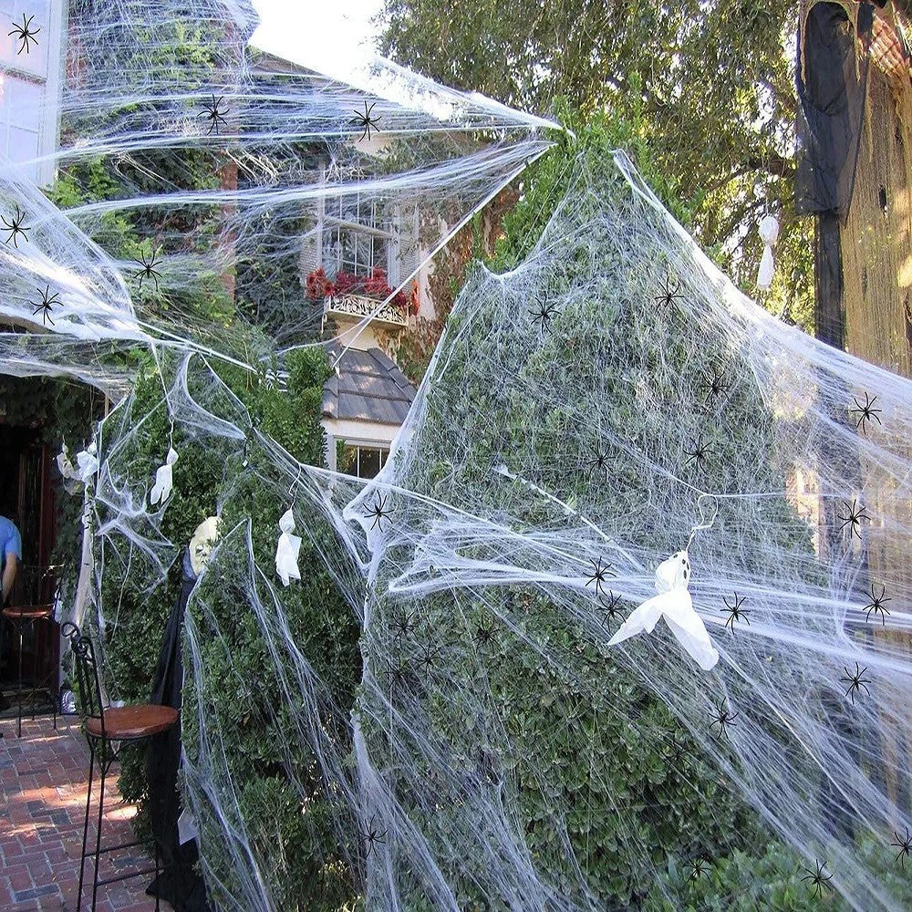 Stretchy Spider Web Decor with Fake Spiders