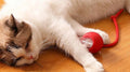 Rechargeable Interactive Cat Toy