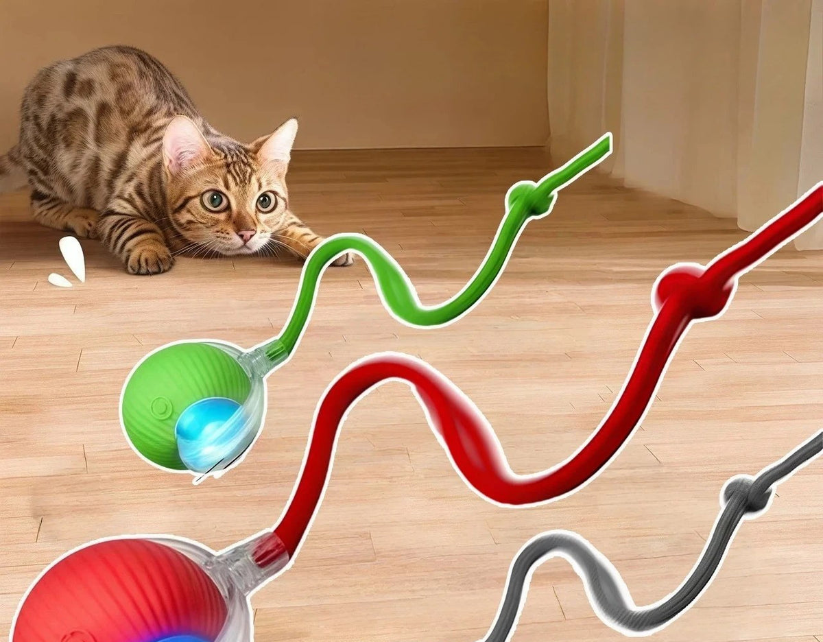 Rechargeable Interactive Cat Toy — view 3